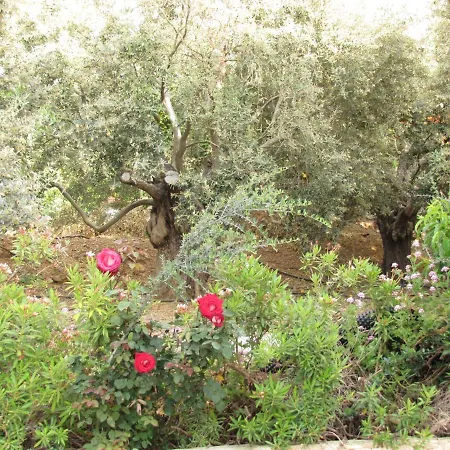 Webooking Knossos Βίλα Αργάκα