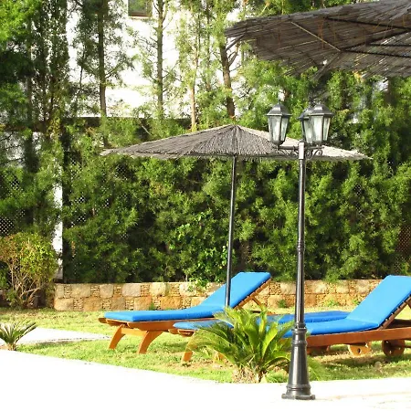 Webooking Knossos *