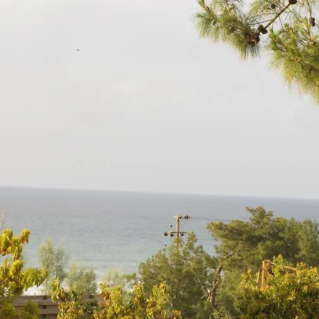 Webooking Knossos *