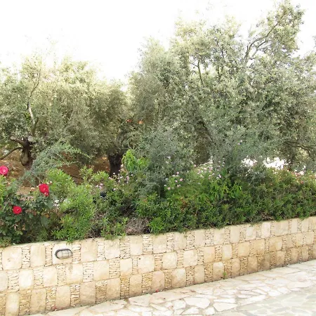 Villa Webooking Knossos Argaka
